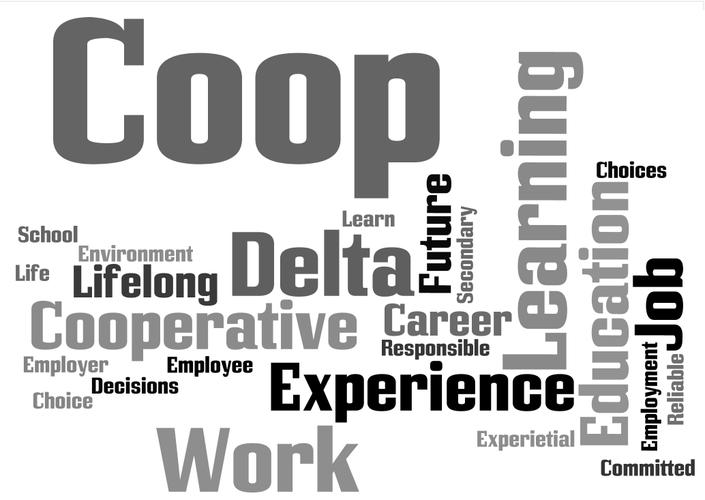 example of a co-op,Example of a Co-op: A Detailed Multi-Dimensional Introduction