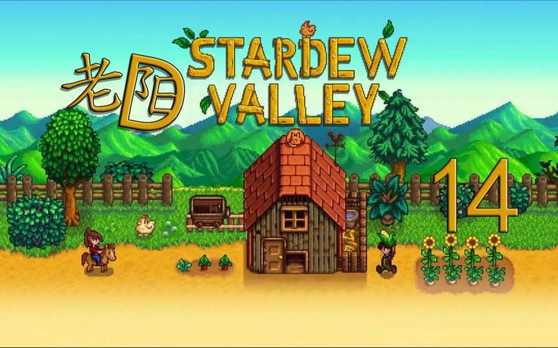 is stardew valley co op,What is Stardew Valley Co-op?