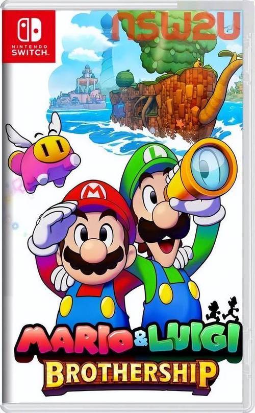 mario and luigi brothership co-op,Understanding the Mario and Luigi Brothership Co-op