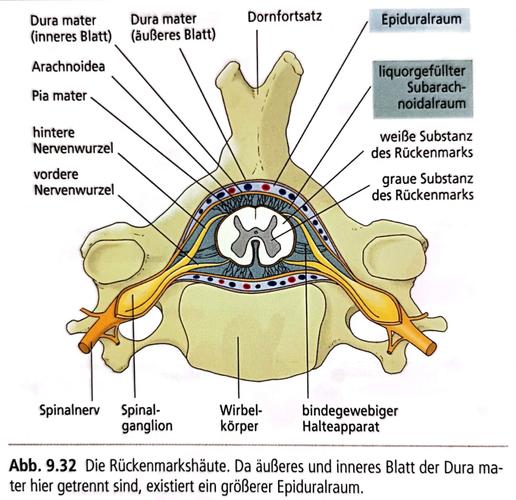 einschr?nkungen nach hirn op,Einschr盲nkungen Nach Hirn Op: A Comprehensive Overview