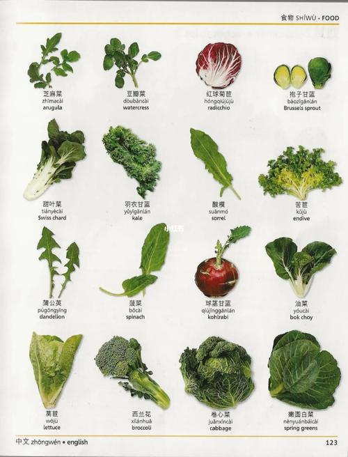 buy op vegetable seeds,Buy OP Vegetable Seeds: A Comprehensive Guide