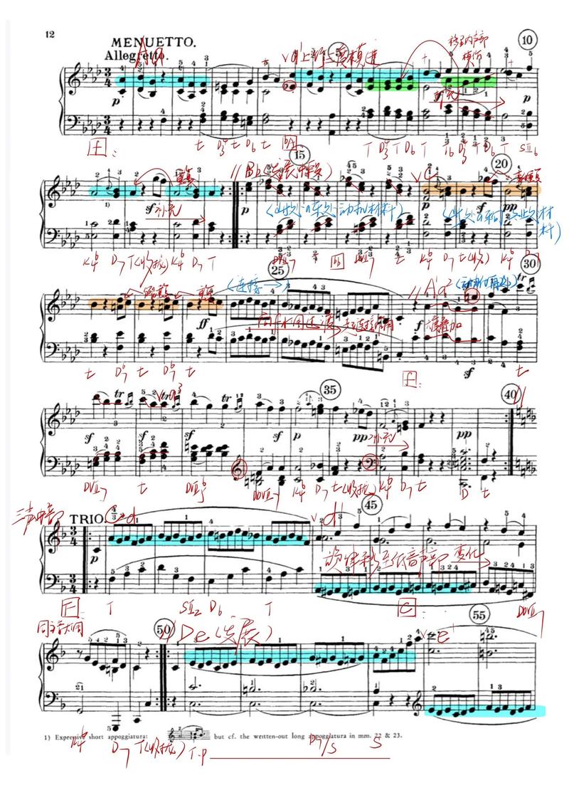 beethoven op 132 analysis,Background and Context